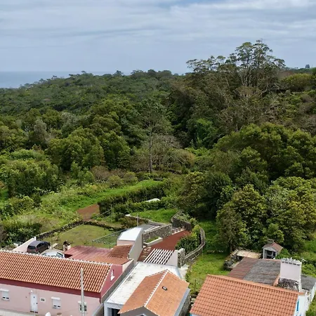 O Palheiro Tatil Evi